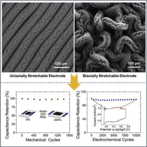 yp街机·电子游戏(中国)最新官网