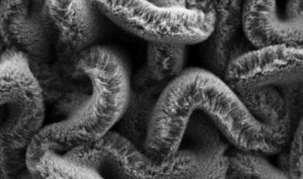 行业新闻：可拉伸的超等电容器，，，，，，为柔性可衣着装备铺路